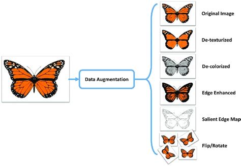 data augmentation techniques for images